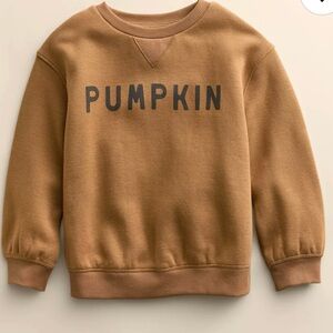 Little Co. by Lauren Conrad Pumpkin Graphic Sweatshirt 2T NWT